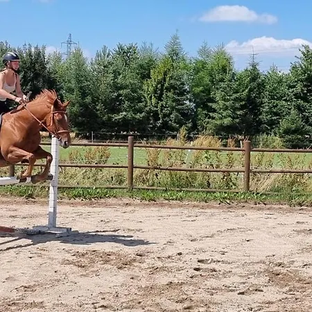 Vakantieboerderij Ranc Orlice Třebechovice pod Orebem