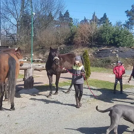 Ranč Orlice *
