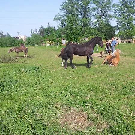 Farma Ranč Orlice *