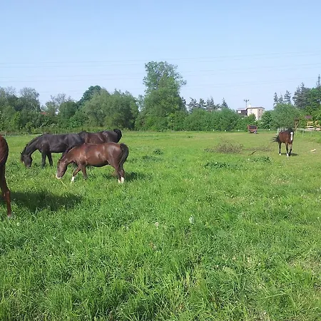 Ranc Orlice