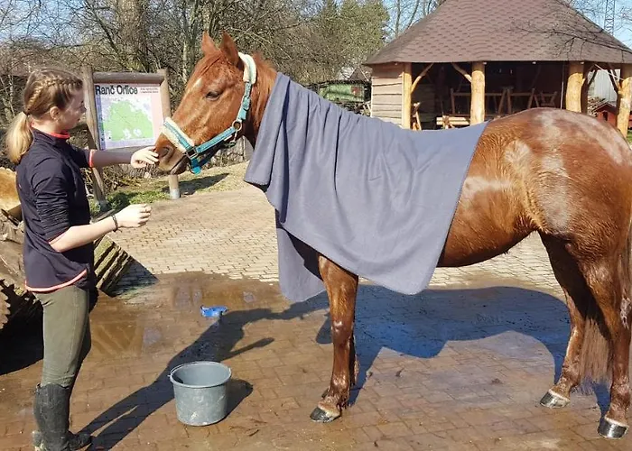 Ranc Orlice Séjour à la ferme Třebechovice pod Orebem
