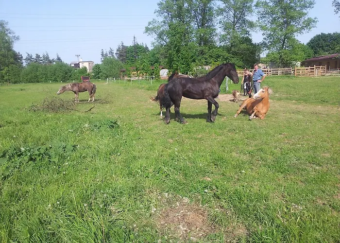 Séjour à la ferme Ranc Orlice *