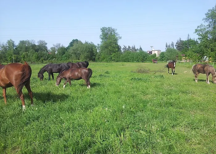 Ranc Orlice